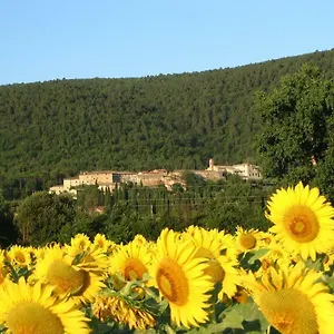  Casa di campagna Siena Vecchia Vacanze